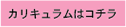 ビギナーズコースカリキュラム