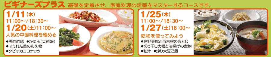 ビギナーズプラス カリキュラム