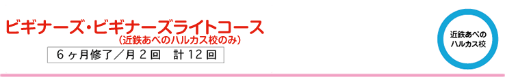 ビギナーズコーズ