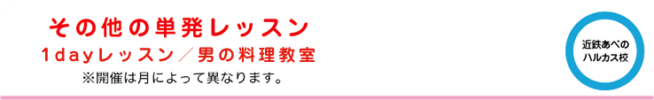 その他の単発レッスン お料理入門/男の料理教室/特別専科