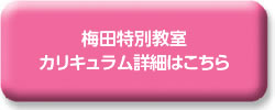 梅田特別教室カリキュラム詳細